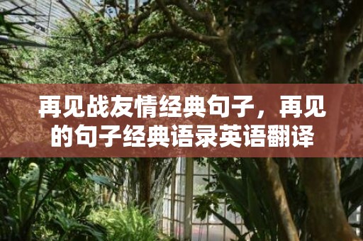 再见战友情经典句子，再见的句子经典语录英语翻译