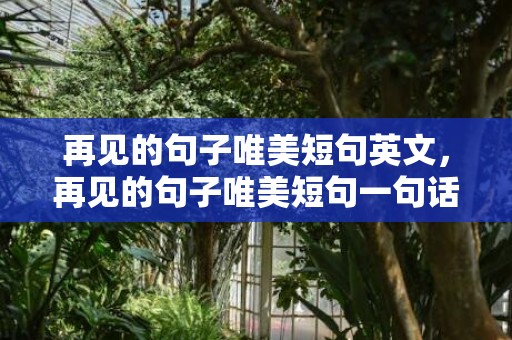 再见的句子唯美短句英文，再见的句子唯美短句一句话英语版带翻译