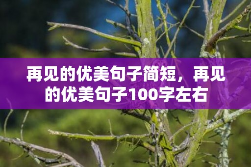 再见的优美句子简短，再见的优美句子100字左右