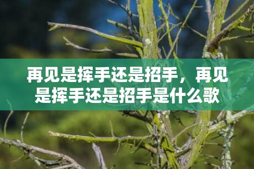 再见是挥手还是招手，再见是挥手还是招手是什么歌