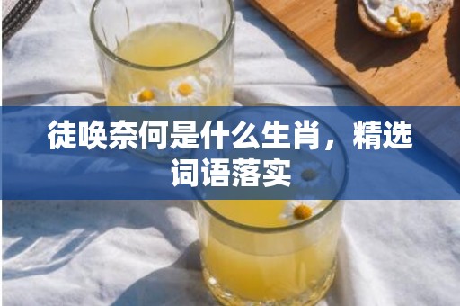 徒唤奈何是什么生肖，精选词语落实