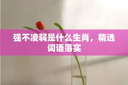 强不凌弱是什么生肖，精选词语落实