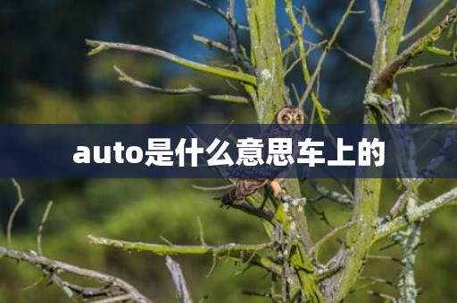 auto是什么意思车上的