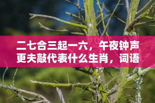 二七合三起一六，午夜钟声更夫敲代表什么生肖，词语解答落实