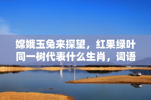 嫦娥玉兔来探望，红果绿叶同一树代表什么生肖，词语解答落实