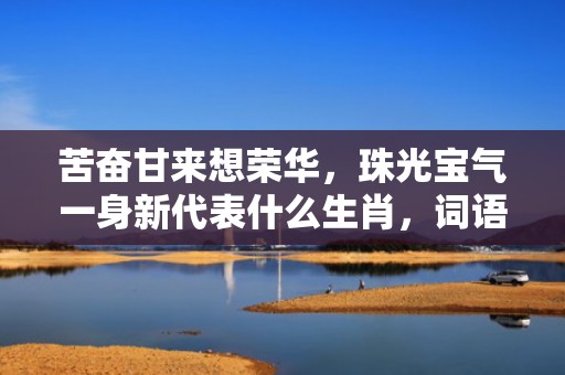 苦奋甘来想荣华，珠光宝气一身新代表什么生肖，词语解答落实