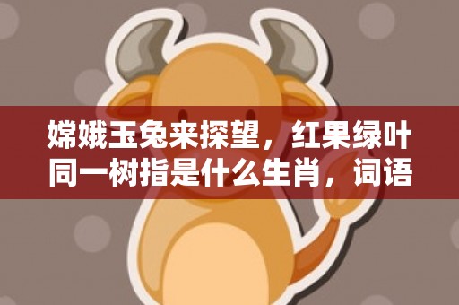 嫦娥玉兔来探望，红果绿叶同一树指是什么生肖，词语释义落实