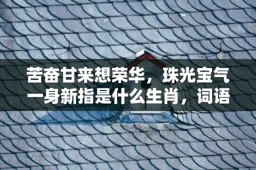苦奋甘来想荣华，珠光宝气一身新指是什么生肖，词语释义落实