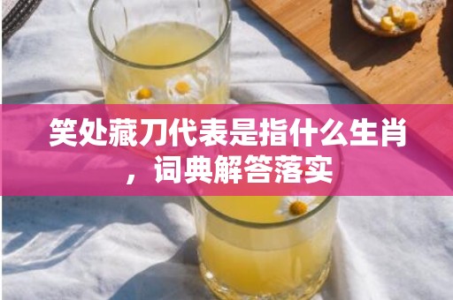笑处藏刀代表是指什么生肖，词典解答落实