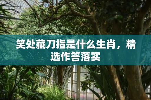 笑处藏刀指是什么生肖，精选作答落实