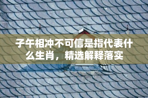 子午相冲不可信是指代表什么生肖，精选解释落实