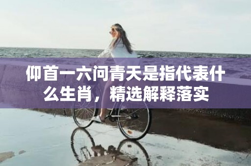 仰首一六问青天是指代表什么生肖，精选解释落实