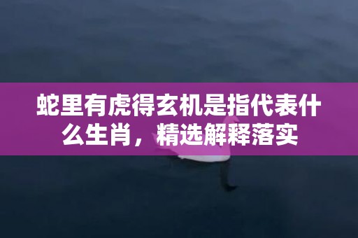 蛇里有虎得玄机是指代表什么生肖，精选解释落实