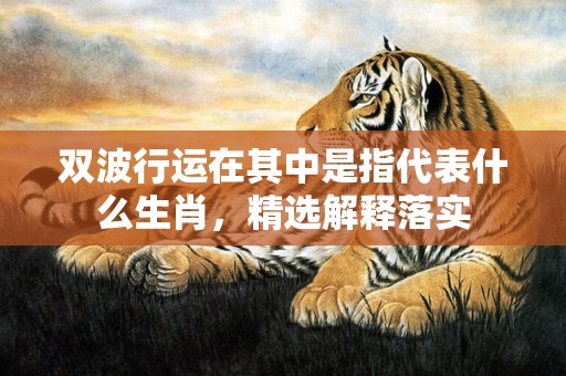 双波行运在其中是指代表什么生肖，精选解释落实