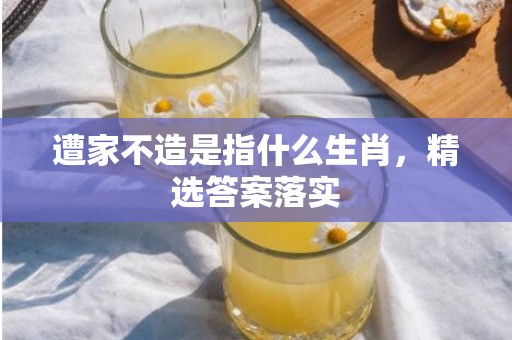 遭家不造是指什么生肖，精选答案落实
