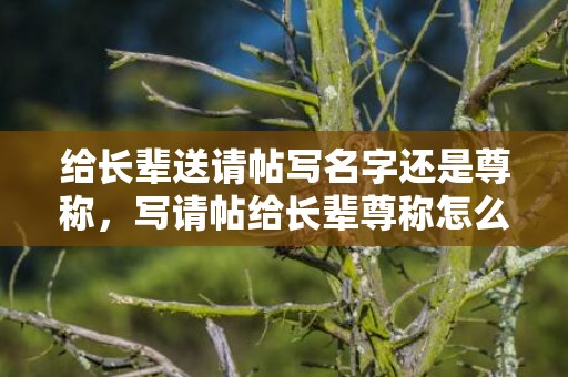 给长辈送请帖写名字还是尊称，写请帖给长辈尊称怎么写好？给老丈人下请帖怎么写