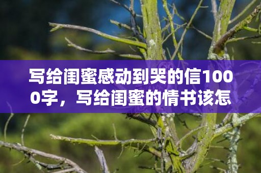 写给闺蜜感动到哭的信1000字，写给闺蜜的情书该怎么写？写给闺蜜的情书