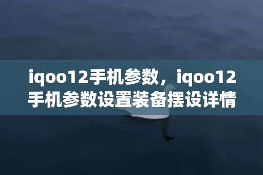 iqoo12手机参数，iqoo12手机参数设置装备摆设详情