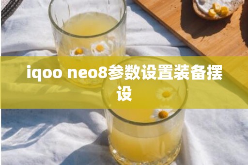 iqoo neo8参数设置装备摆设