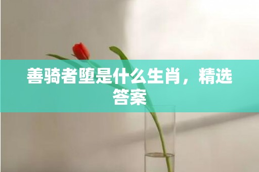 善骑者堕是什么生肖，精选答案