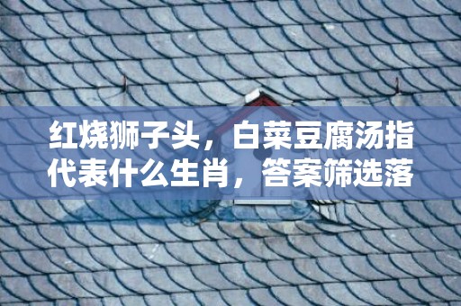 红烧狮子头，白菜豆腐汤指代表什么生肖，答案筛选落实