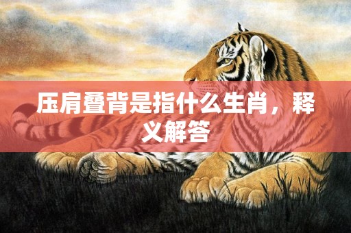 压肩叠背是指什么生肖，释义解答