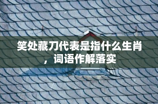 笑处藏刀代表是指什么生肖，词语作解落实