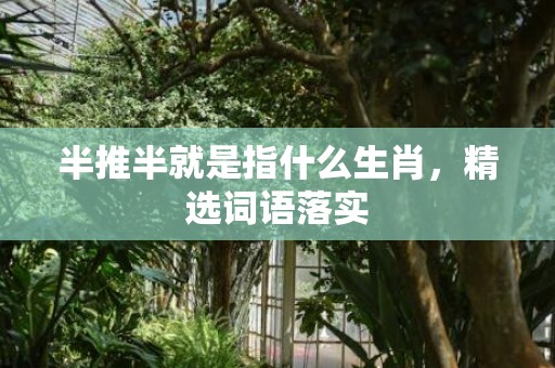 半推半就是指什么生肖，精选词语落实