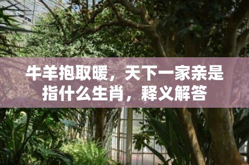 牛羊抱取暖，天下一家亲是指什么生肖，释义解答