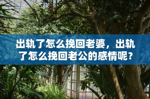 出轨了怎么挽回老婆，出轨了怎么挽回老公的感情呢？怎样挽回老公