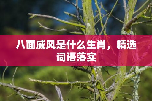 八面威风是什么生肖，精选词语落实