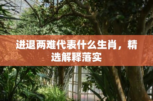 进退两难代表什么生肖，精选解释落实