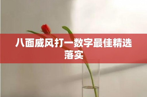 八面威风打一数字最佳精选落实