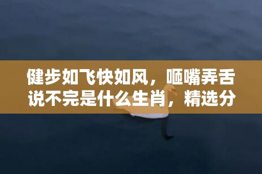 健步如飞快如风，咂嘴弄舌说不完是什么生肖，精选分析落实