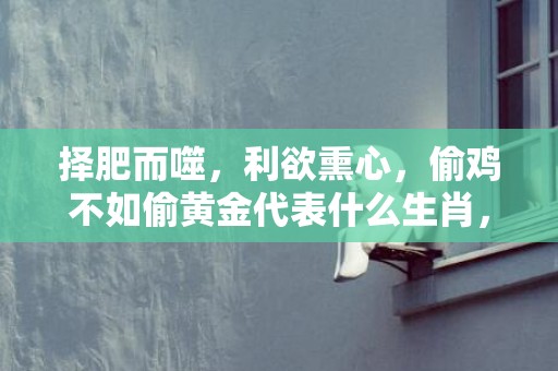 择肥而噬，利欲熏心，偷鸡不如偷黄金代表什么生肖，词语解答落实