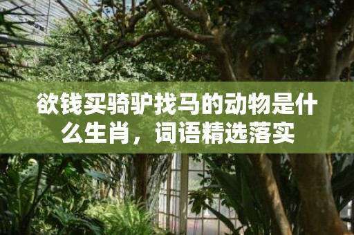 欲钱买骑驴找马的动物是什么生肖，词语精选落实