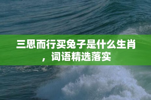 三思而行买兔子是什么生肖，词语精选落实