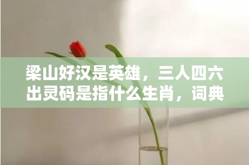 梁山好汉是英雄，三人四六出灵码是指什么生肖，词典解释
