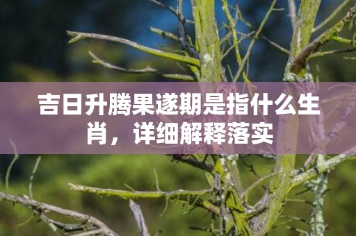 吉日升腾果遂期是指什么生肖，详细解释落实