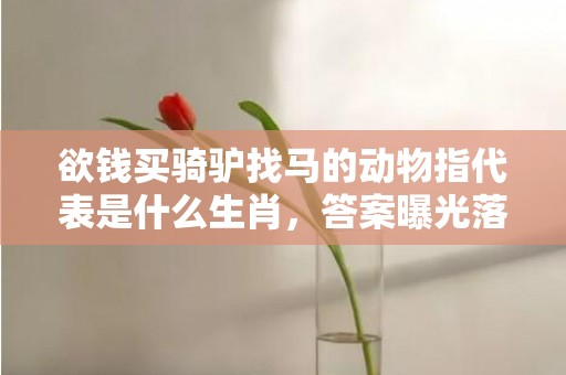 欲钱买骑驴找马的动物指代表是什么生肖，答案曝光落实