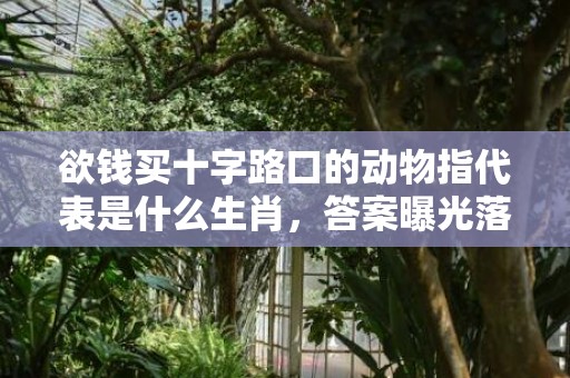 欲钱买十字路口的动物指代表是什么生肖，答案曝光落实