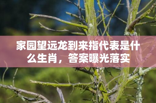 家园望远龙到来指代表是什么生肖，答案曝光落实