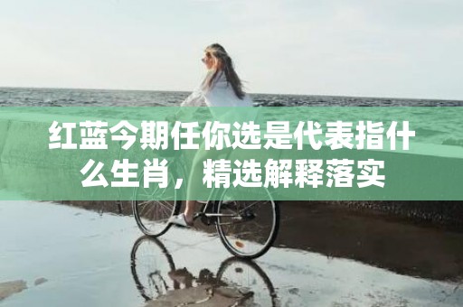 红蓝今期任你选是代表指什么生肖，精选解释落实