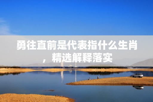 勇往直前是代表指什么生肖，精选解释落实
