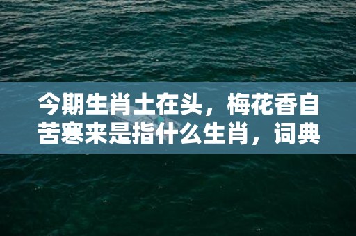 今期生肖土在头，梅花香自苦寒来是指什么生肖，词典解释