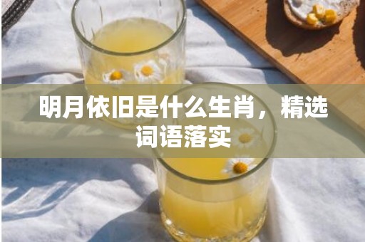 明月依旧是什么生肖，精选词语落实