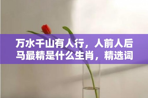 万水千山有人行，人前人后马最精是什么生肖，精选词语落实