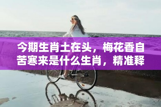 今期生肖土在头，梅花香自苦寒来是什么生肖，精准释义
