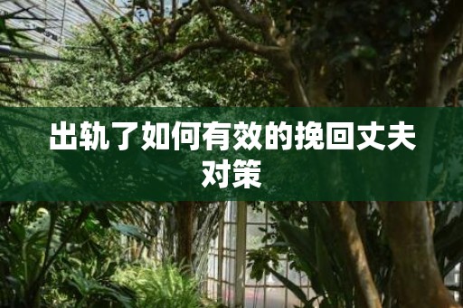 出轨了如何有效的挽回丈夫对策