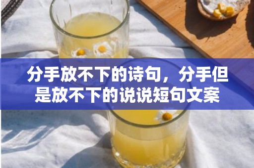分手放不下的诗句，分手但是放不下的说说短句文案